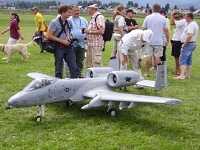 lesce_letalski_miting_2008.jpg