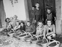 kranj_muzej_borovnice_2.jpg