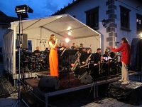 Radovljica_obcinski_praznik_2014_2.jpg Radovljica_obcinski_praznik_2014_2.jpg